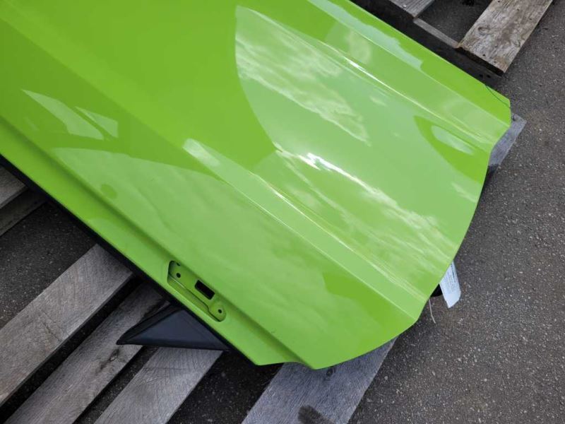 2015-2023 Ford Mustang GT S550 Driver Left Front Door Coupe Shell Paint F9 - The Parts Farm