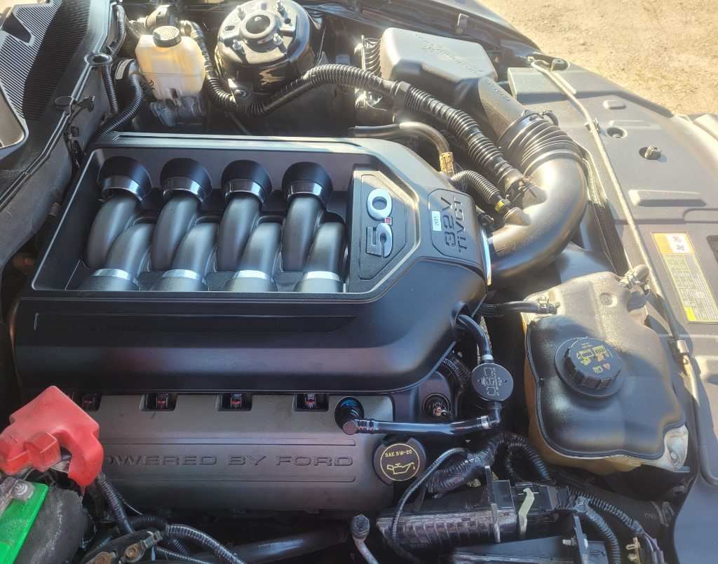 47643406