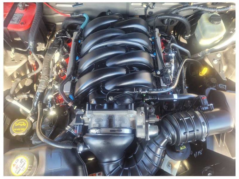 2005-2009 Ford Mustang GT Driver LH Front Turn Signal Amber Parking Light 2585 - The Parts Farm