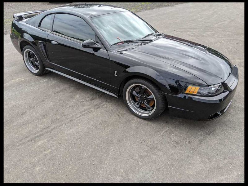 1999-2004 Ford Mustang Cobra SVT DOHC 4.6L Front Crash Bar Absorber Bumper OEM - The Parts Farm