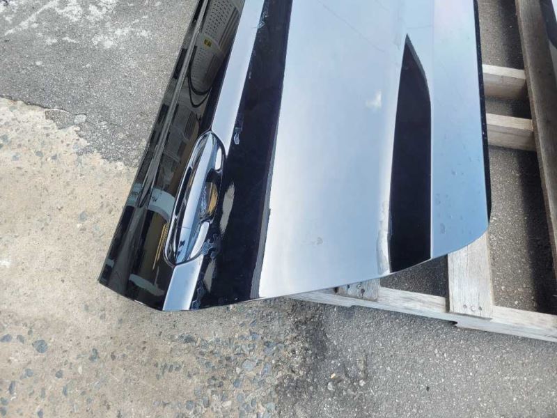 2020-2022 Ford Mustang Shelby GT500 Passenger Coupe Door Shell Paint G1 2357 - The Parts Farm