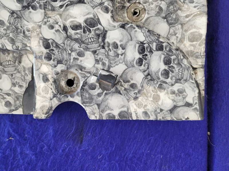 2015-2021 Ford Mustang GT S550 Radiator Shield Custom Engine Cover CHEVY KILLER - The Parts Farm