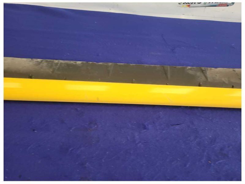 1995-1998 Ford Mustang GT 5.0L Convertible Driver Low Rocker Panel Paint BZ 2406 - The Parts Farm
