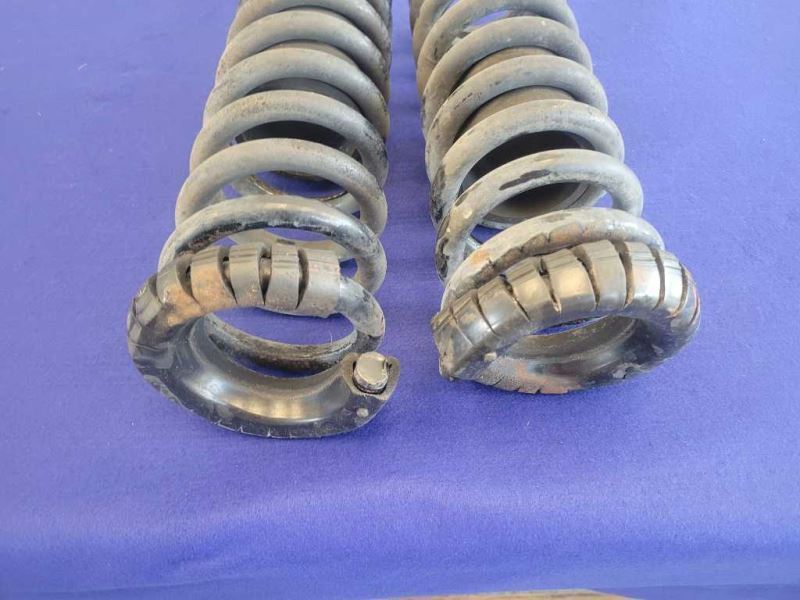 1994-1995 Ford Mustang GT 5.0L Convertible Rear Back Coil Springs OEM 2406 - The Parts Farm