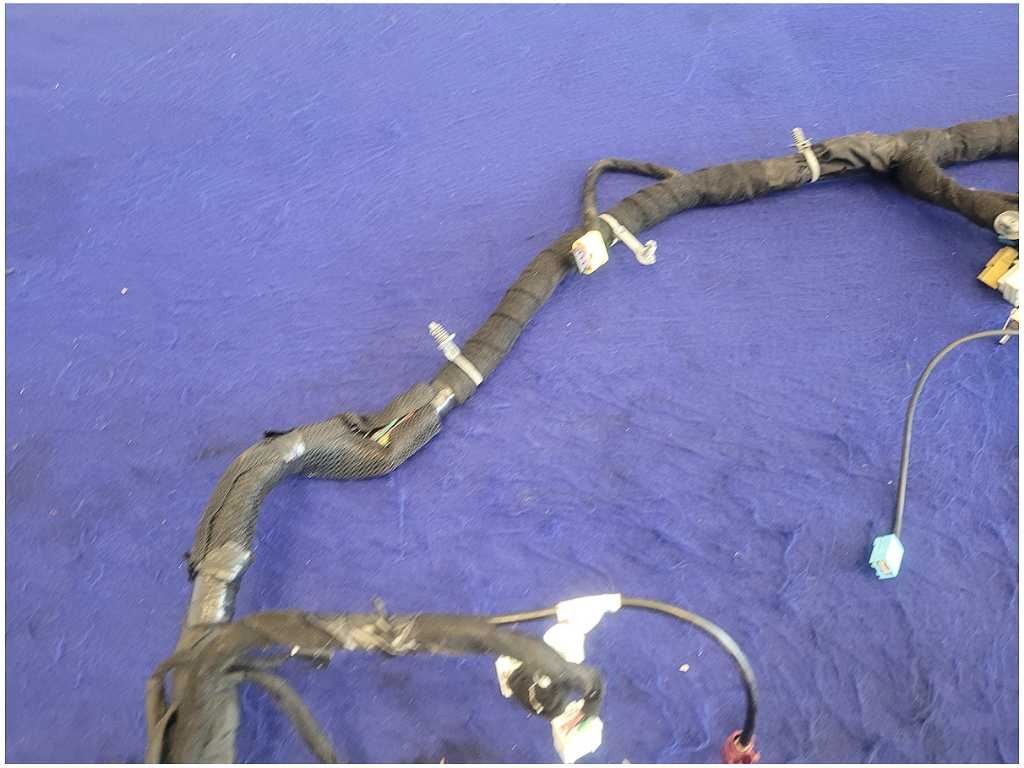 45067426