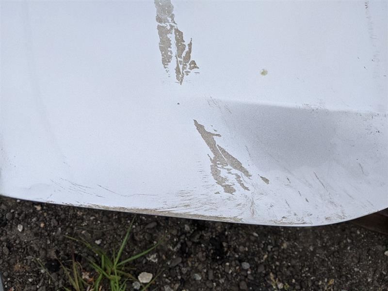 2015-2017 Ford Mustang GT EcoBoost Decklid Deck Lid Trunk Hatch Spoiler Plaque - The Parts Farm