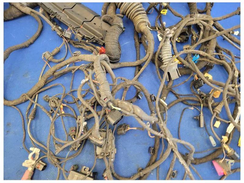 2014 Audi R8 V10 Coupe Body Harness Wire *Broken Plugs Cut Wires* 2136 - The Parts Farm