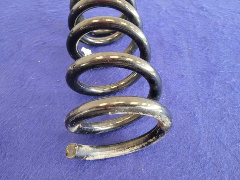 2020-2023 Ford Mustang Shelby GT500 Passenger Rear Back Coil Spring 2044 - The Parts Farm