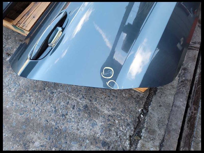 2015-2023 Ford Mustang GT S550 Passenger Right Door Coupe Front Shell Paint HN - The Parts Farm