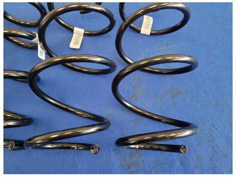 2024 Ford Mustang GT S650 Set Coil Springs Front Rear Suspension M124 - The Parts Farm