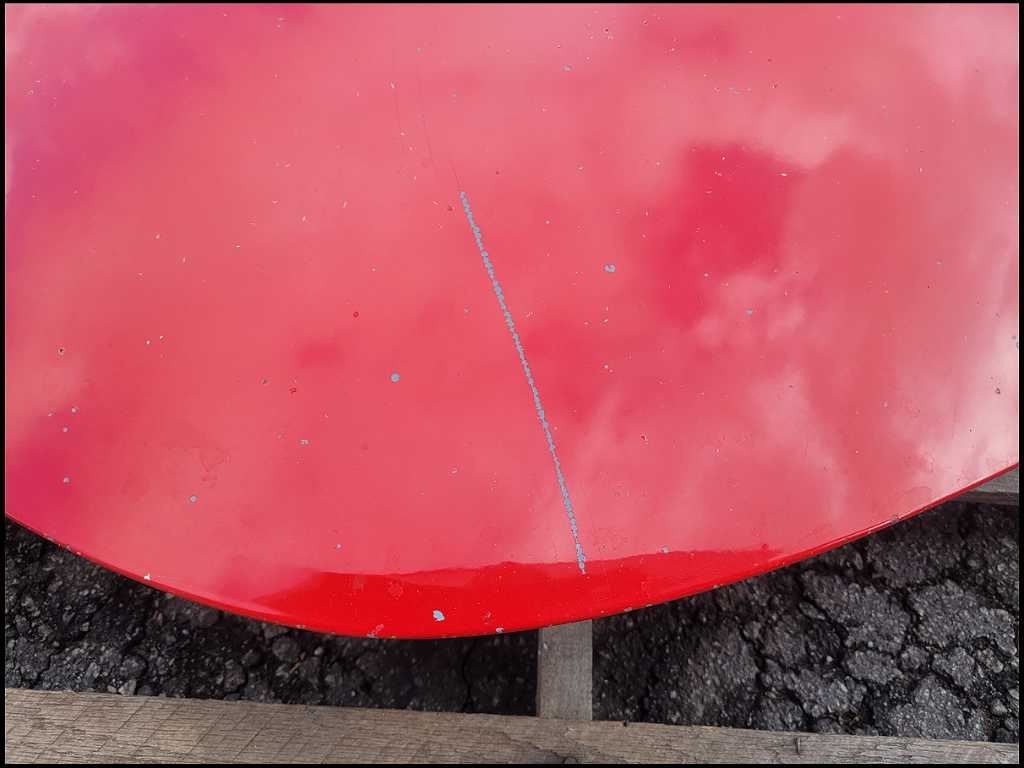 44990446