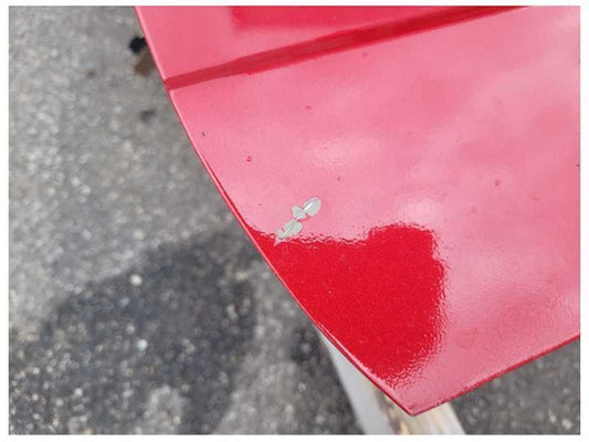 2003-2004 Ford Mustang Cobra SVT DOHC 4.6L Driver Left Door Coupe Paint G2 2260