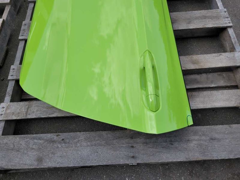 2015-2023 Ford Mustang GT S550 Driver Left Front Door Coupe Shell Paint F9 - The Parts Farm