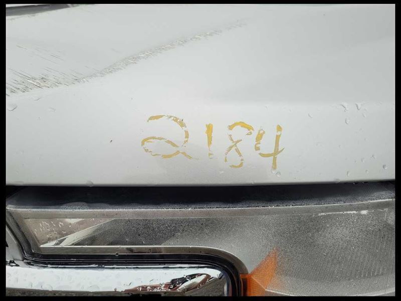 2017-2020 Ford F150 Pickup Truck Driver Left Back Rear Door Panel Card Black - The Parts Farm