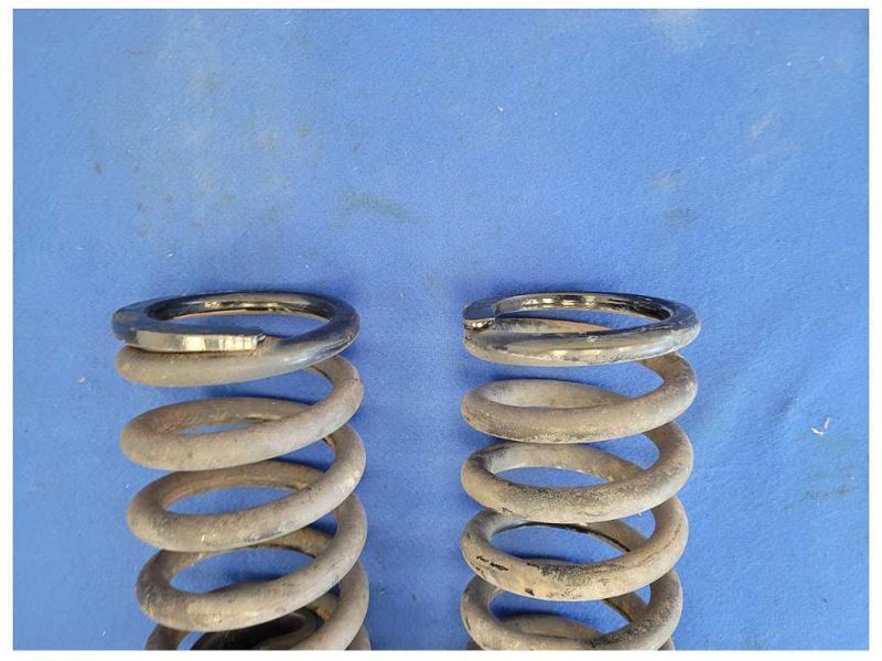 1994-1995 Ford Mustang GT 5.0L Convertible Front Pair Springs Coil OEM 2454 - The Parts Farm