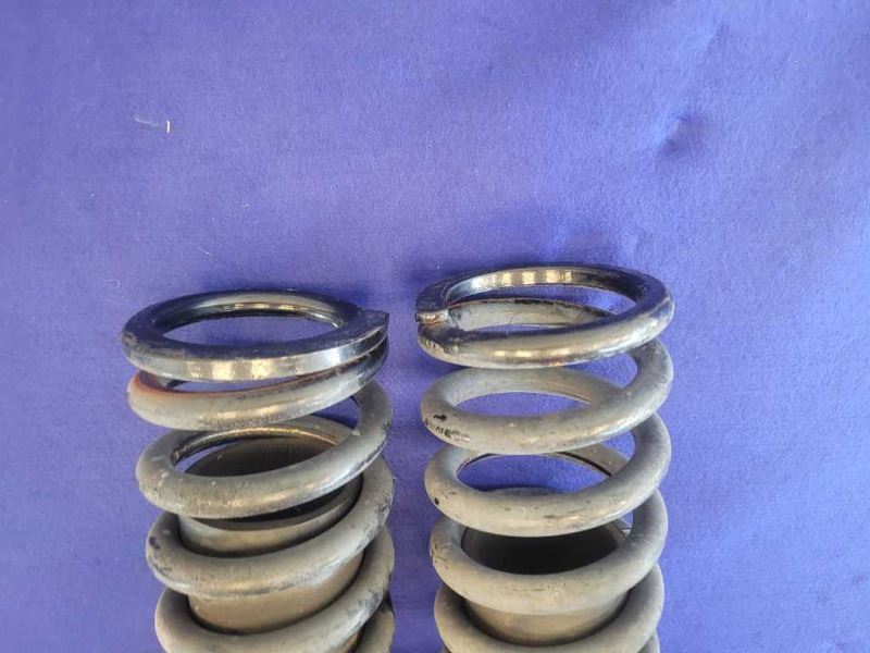 1994-1995 Ford Mustang GT 5.0L Convertible Rear Back Coil Springs OEM 2406 - The Parts Farm