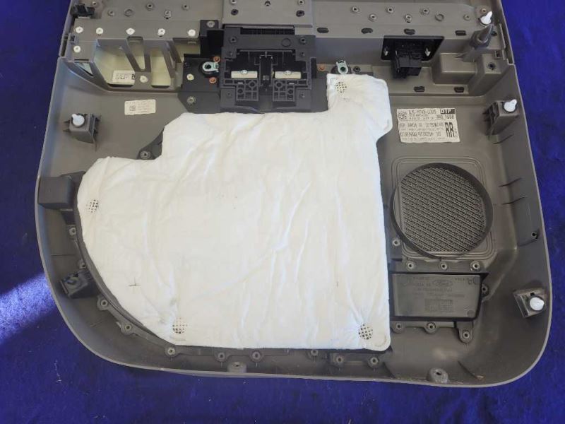 2018-2020 Ford F150 Pickup Truck Passenger Right Rear Door Panel Trim Card - The Parts Farm
