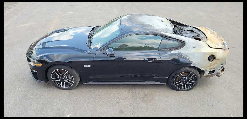 2015-2023 Ford Mustang GT S550 Passenger Front Door Coupe Shell Paint G1 1918 - The Parts Farm