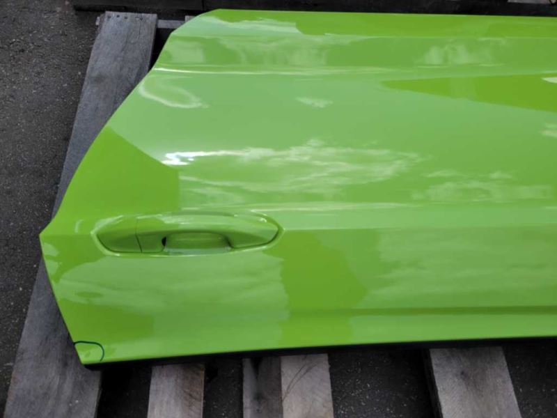 2015-2023 Ford Mustang GT S550 Driver Left Front Door Coupe Shell Paint F9 - The Parts Farm