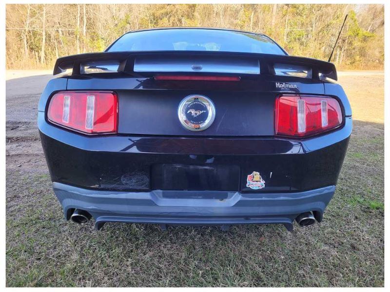 2011-2014 Ford Mustang GT Front Suspension Strut Spring 2497 - The Parts Farm