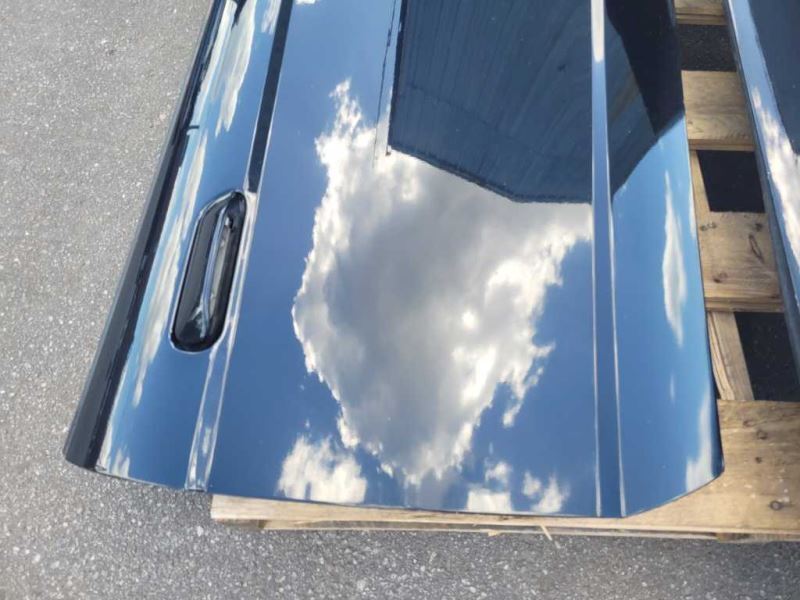 2003-2004 Ford Mustang Cobra SVT DOHC Coupe Passenger Right Door Front Paint G2 - The Parts Farm