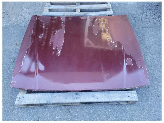 2003-2004 Mercury Marauder 4.6L Front Hood Shell *Scuffs* Paint JL 2534