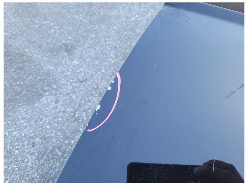 1999-2004 Ford Mustang Cobra SVT DOHC Passenger Door Convertible Paint UA 2313 - The Parts Farm