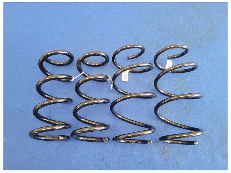 2024 Ford Mustang GT S650 Set Coil Springs Front Rear Suspension M124 - The Parts Farm