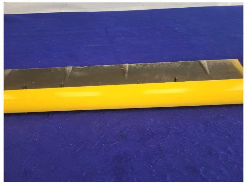 1995-1998 Ford Mustang GT 5.0L Convertible Passenger Rocker Panel Paint BZ 2406 - The Parts Farm