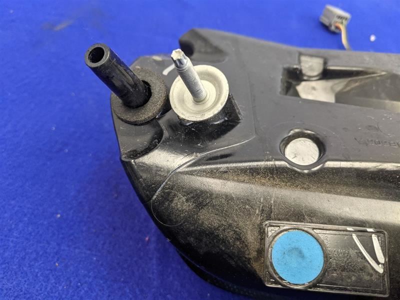 2015-2017 Ford Mustang GT S550 Driver Left LH Taillight Lamp Brake Lens OEM - The Parts Farm