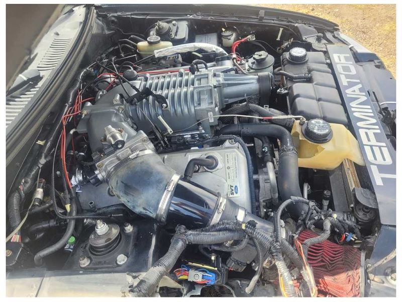 1999-2004 Ford Mustang Cobra SVT DOHC 4.6 Glove Box Storage Dashboard Panel 2349 - The Parts Farm