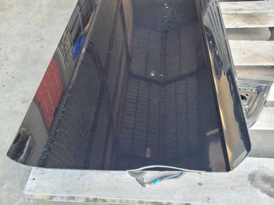 2003-2004 Ford Mustang Cobra SVT DOHC 4.6 Front Passenger RH Door Coupe Paint UA