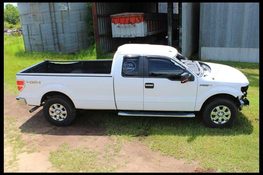 2013-2014 Ford F150 Ext. Cab Left Rear Door Handle Trim Pull Driver Side - The Parts Farm