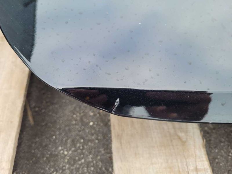 2015-2023 Ford Mustang GT S550 Passenger Right RH Front Door Coupe Paint Code G1 - The Parts Farm