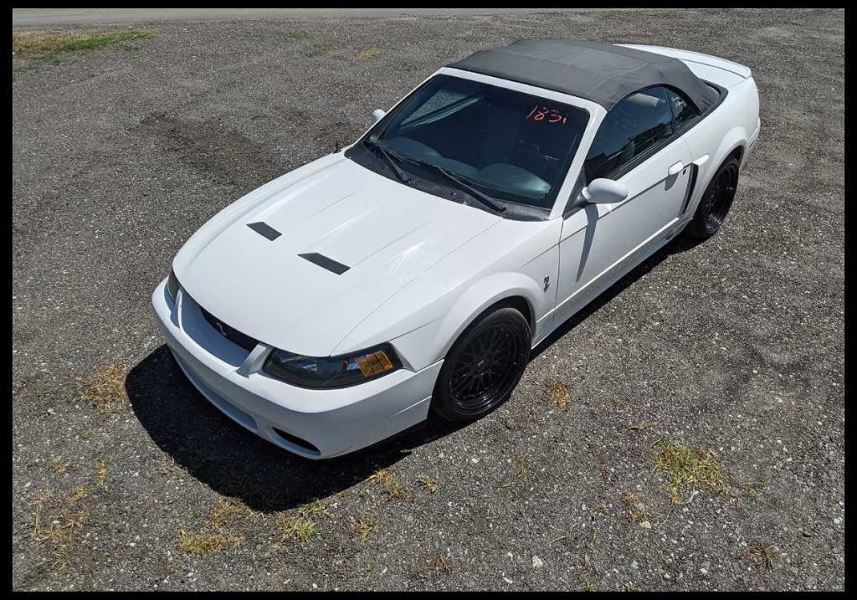 2003-2004 Ford Mustang Cobra SVT DOHC 4.6L Driver Side Fender Liner OEM Factory - The Parts Farm