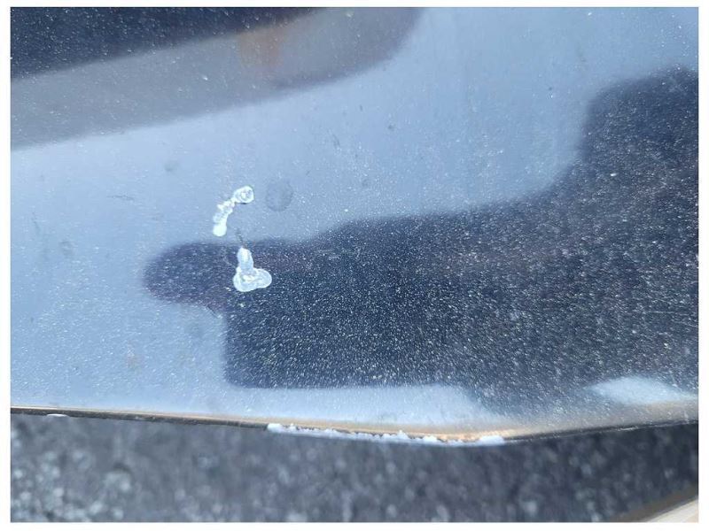 1994-1995 Ford Mustang GT 5.0L Front Hood Shell Bonnett *Scuffs* Paint NA 2521 - The Parts Farm