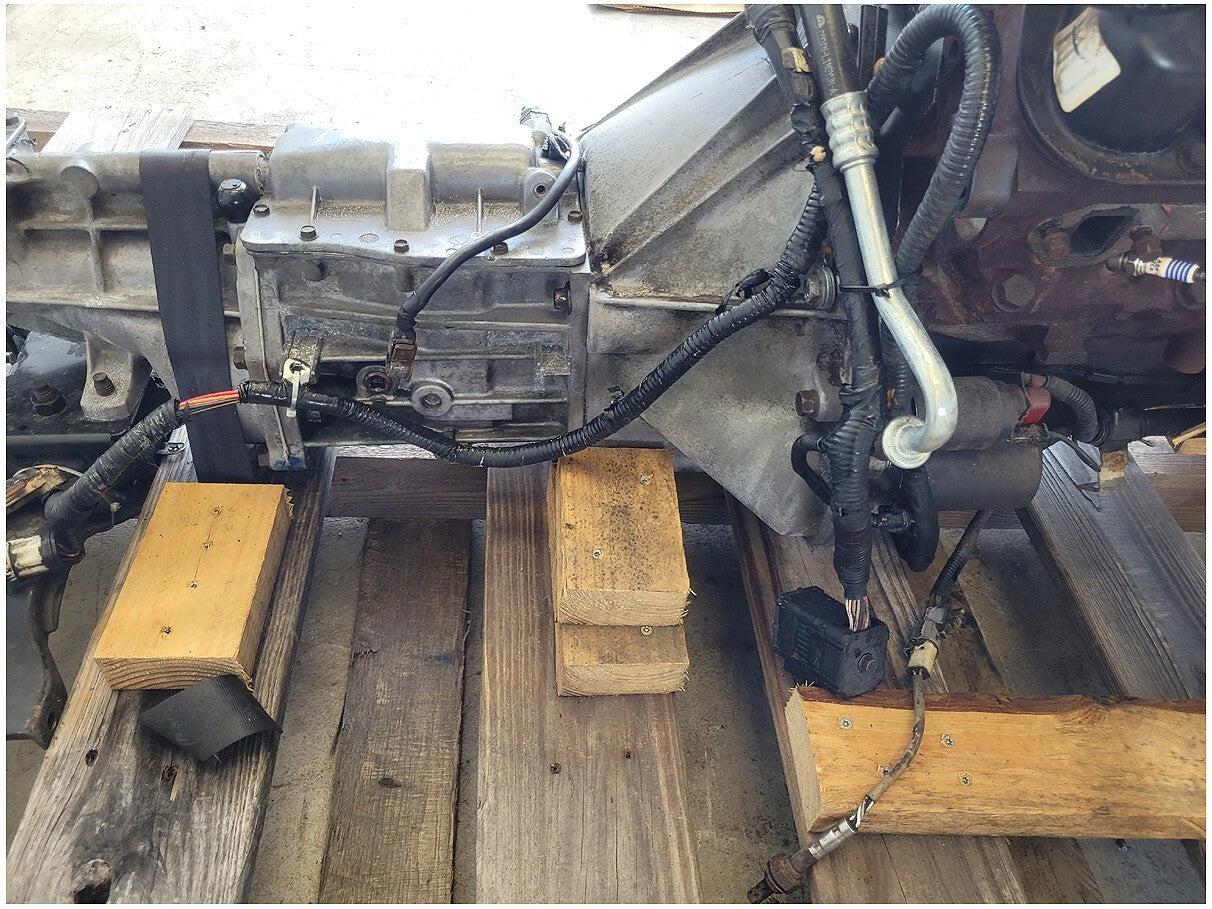 45005082