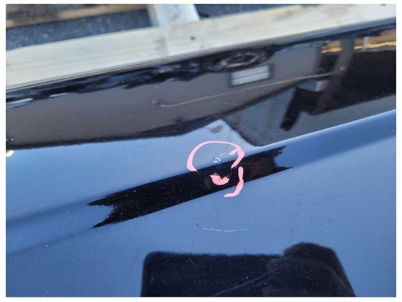 1999-2004 Ford Mustang Cobra SVT DOHC Passenger Door Convertible Paint UA 2313 - The Parts Farm