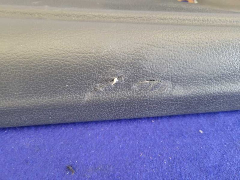 1999-2004 Ford Mustang Cobra SVT DOHC 4.6L Passenger Front Door Panel 2230 - The Parts Farm