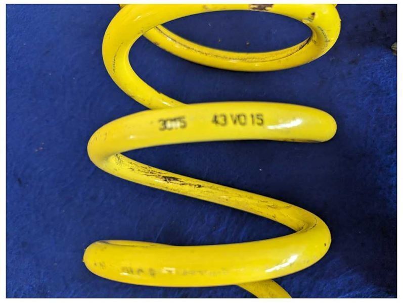 2015-2017 Ford Mustang GT S550 ST Suspension Front Strut Spring 2411 - The Parts Farm