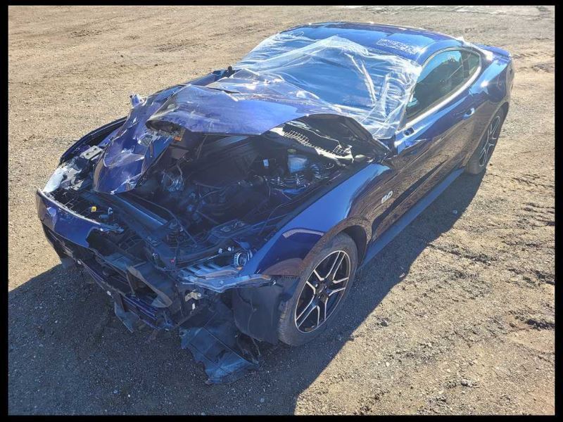 2015-2023 Ford Mustang GT S550 Passenger Right Front Door Coupe Paint L6 - The Parts Farm