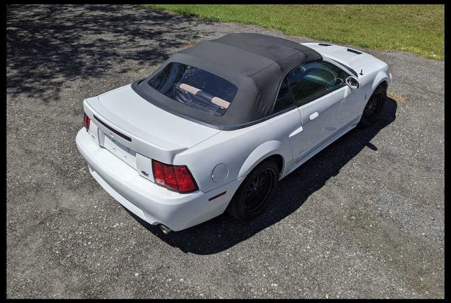 2003-2004 Ford Mustang Cobra SVT DOHC 4.6L Driver Side Fender Liner OEM Factory - The Parts Farm