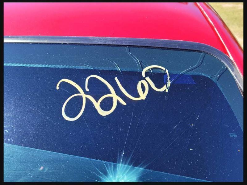 1999-2004 Ford Mustang Cobra SVT DOHC 4.6L Steering Column Trim Ring Bezel 2260 - The Parts Farm