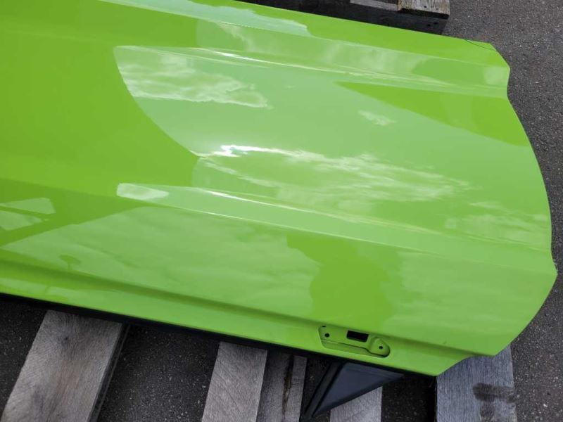 2015-2023 Ford Mustang GT S550 Driver Left Front Door Coupe Shell Paint F9 - The Parts Farm