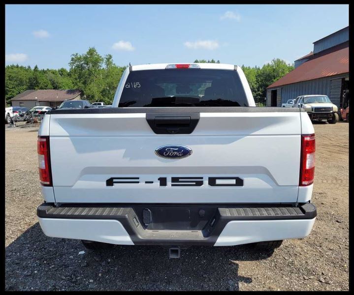 2015-2019 Ford F150 Pickup Truck Driver Left Rear View Mirror Power Pedestal - The Parts Farm