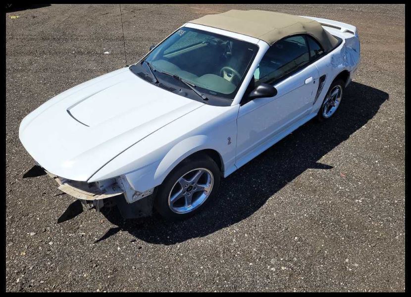 1999-2004 Ford Mustang Cobra SVT DOHC 4.6L Sight Shield Cover Engine Front - The Parts Farm