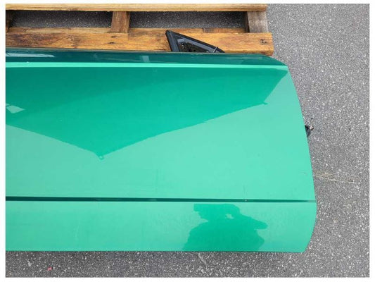 1999-2004 Ford Mustang GT 4.6L Convertible Passenger RH Front Door Paint SW 2312