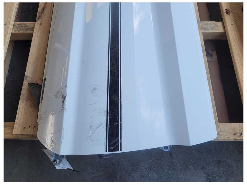 2015-2023 Ford Mustang GT S550 Driver Left Door Coupe Shell Front Paint YZ 2489 - The Parts Farm