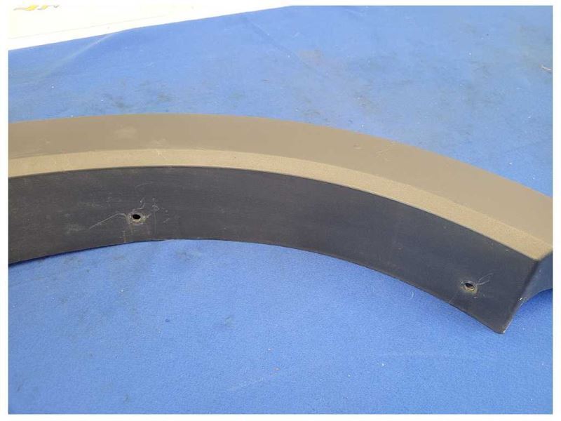 2021-2022 Ford F150 FX4 Pickup Truck Passenger Rear Wheel Black Trim 2394 - The Parts Farm