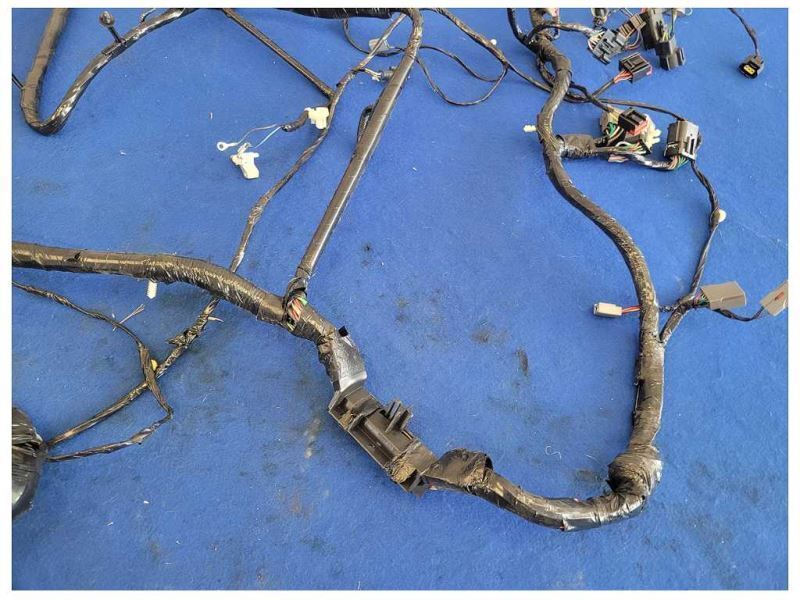 1999 Ford Mustang GT 4.6L Convertible Body Harness Wire Plug 2561 - The Parts Farm